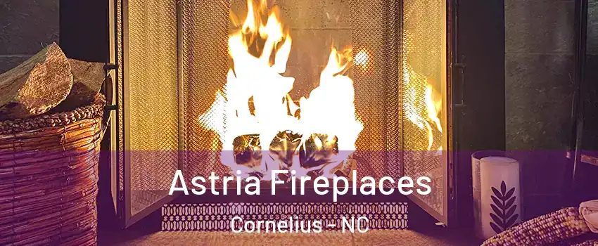  Astria Fireplaces Cornelius - NC