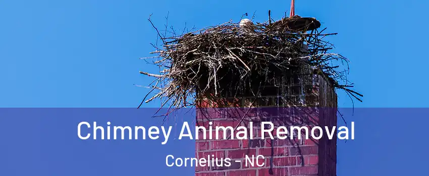  Chimney Animal Removal Cornelius - NC