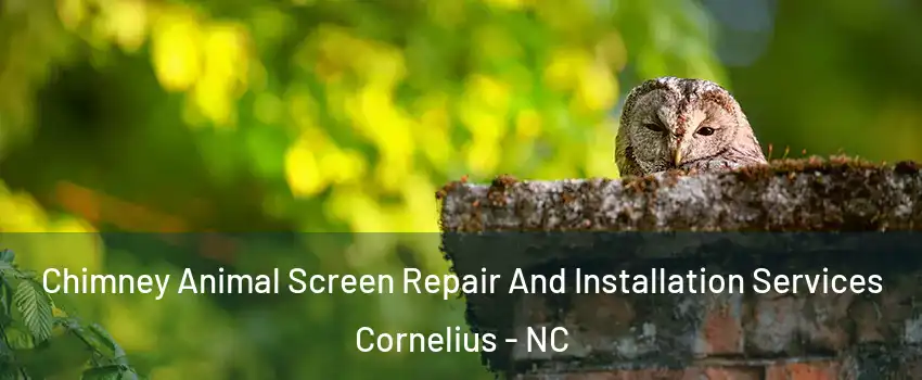  Chimney Animal Screen Repair And Installation Services Cornelius - NC