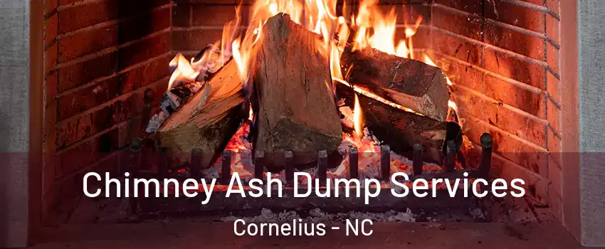  Chimney Ash Dump Services Cornelius - NC