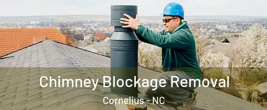  Chimney Blockage Removal Cornelius - NC