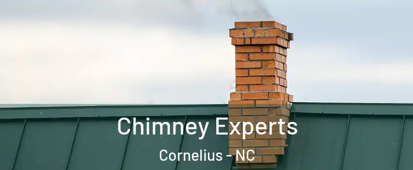  Chimney Experts Cornelius - NC