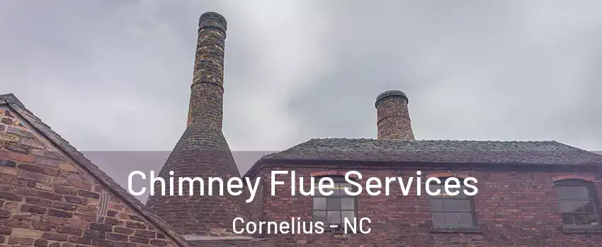  Chimney Flue Services Cornelius - NC