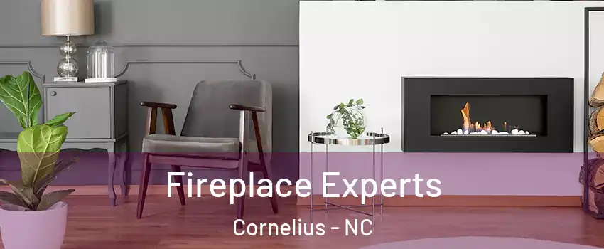  Fireplace Experts Cornelius - NC