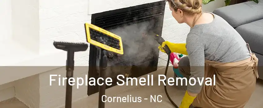  Fireplace Smell Removal Cornelius - NC