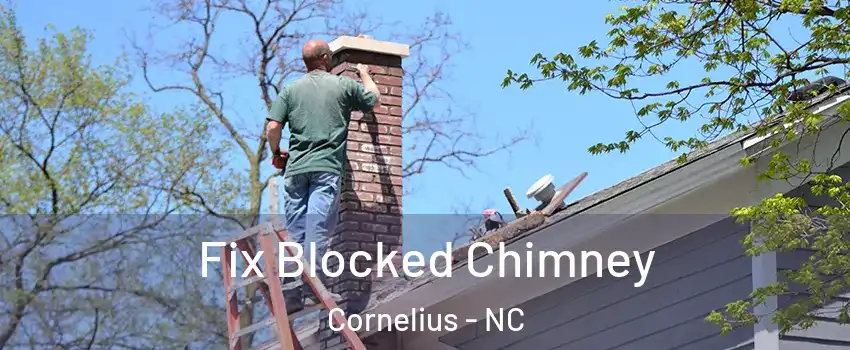  Fix Blocked Chimney Cornelius - NC