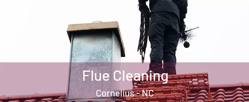  Flue Cleaning Cornelius - NC