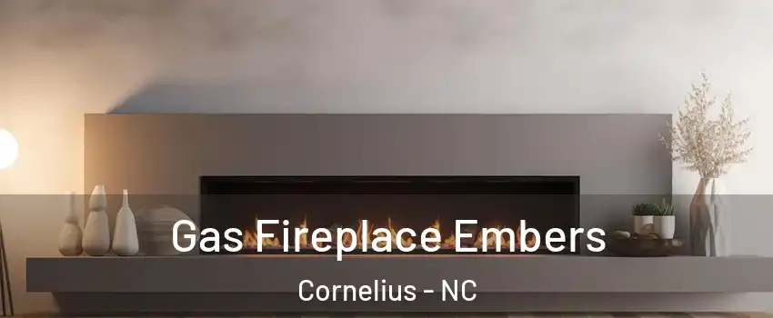  Gas Fireplace Embers Cornelius - NC