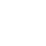 Professional Chimney Flue Installation in Cornelius, North Carolina