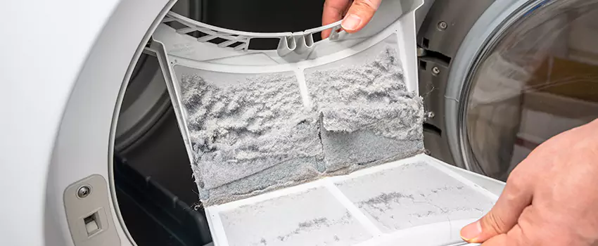 Best Dryer Lint Removal Company in Cornelius, North Carolina