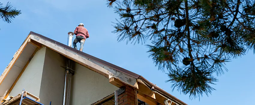 Birds Removal Contractors from Chimney in Cornelius, NC