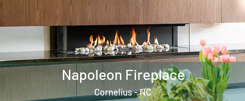  Napoleon Fireplace Cornelius - NC