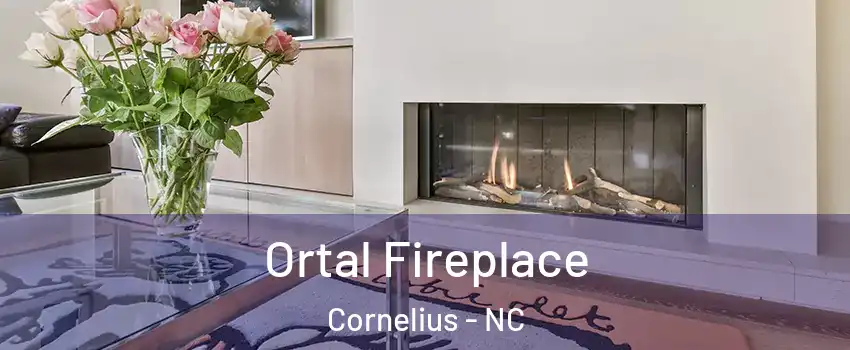 Ortal Fireplace Cornelius - NC